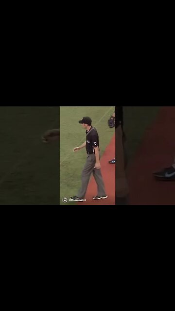 Wow, what an epic catch by this baseball fan. #shorts