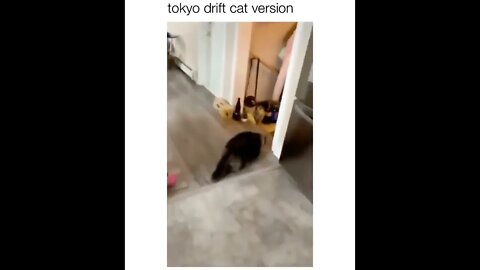 Tokyo Drift