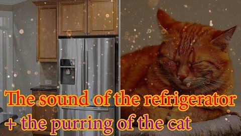 The sound of the refrigerator, + the purring of the cat