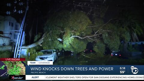 Strong winds from Monday's storm knock down trees in San Diego