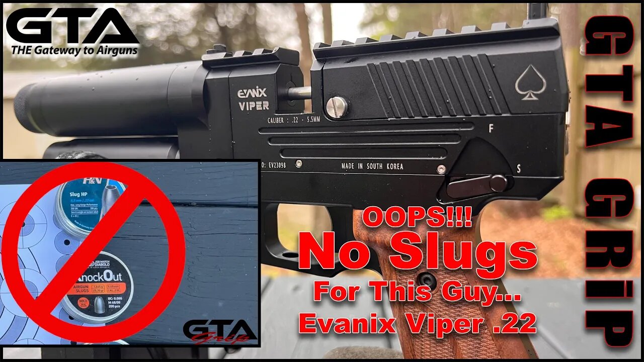 Evanix Viper .22 – OOPS No Slugs For This Guy - Gateway to Airguns Review