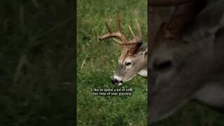 EARLY Season Whitetail Tactics