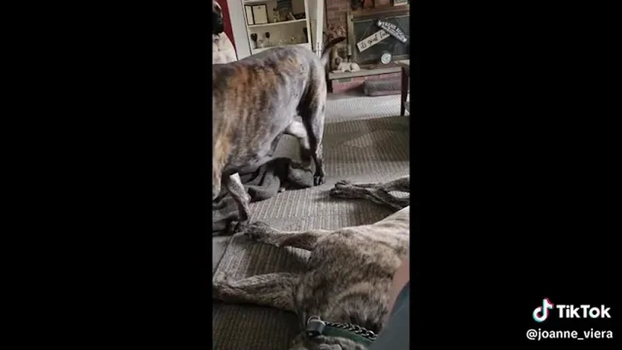 What Are You Doing???