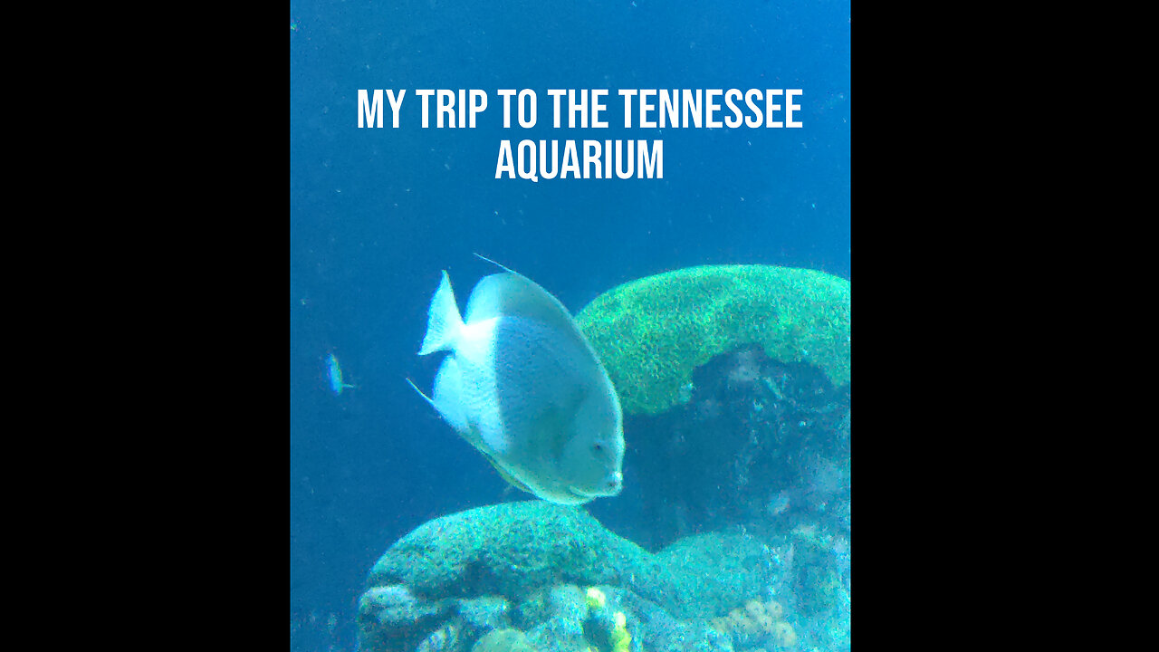 me go to aquarium (old)