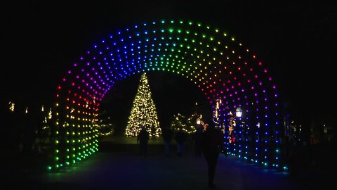 Buffalo Zoo dressed in lights for the annual Zoo Lights