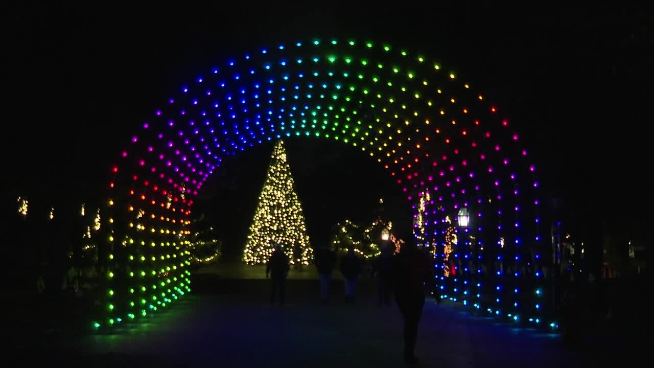 Buffalo Zoo dressed in lights for the annual Zoo Lights