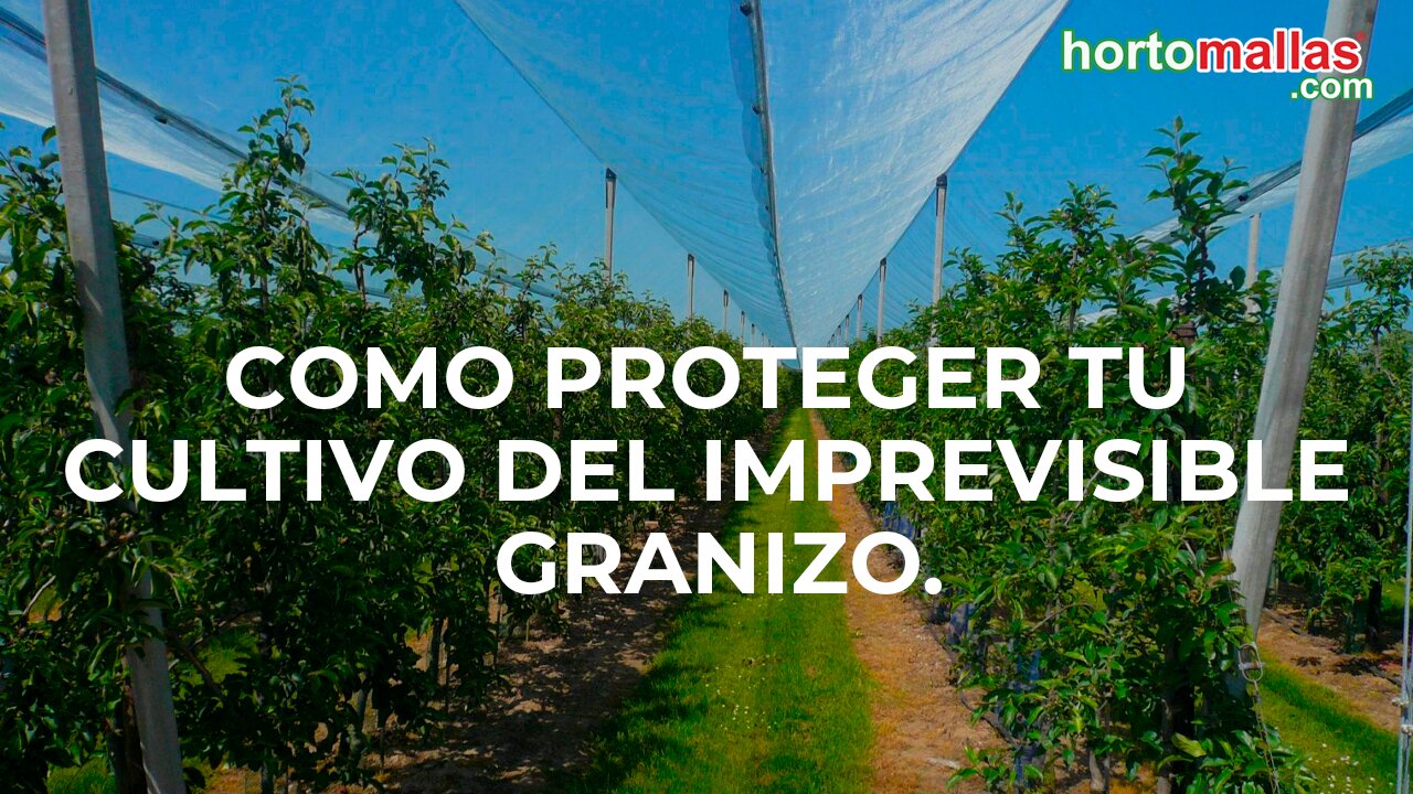 Como proteger tu cultivo del imprevisible granizo.