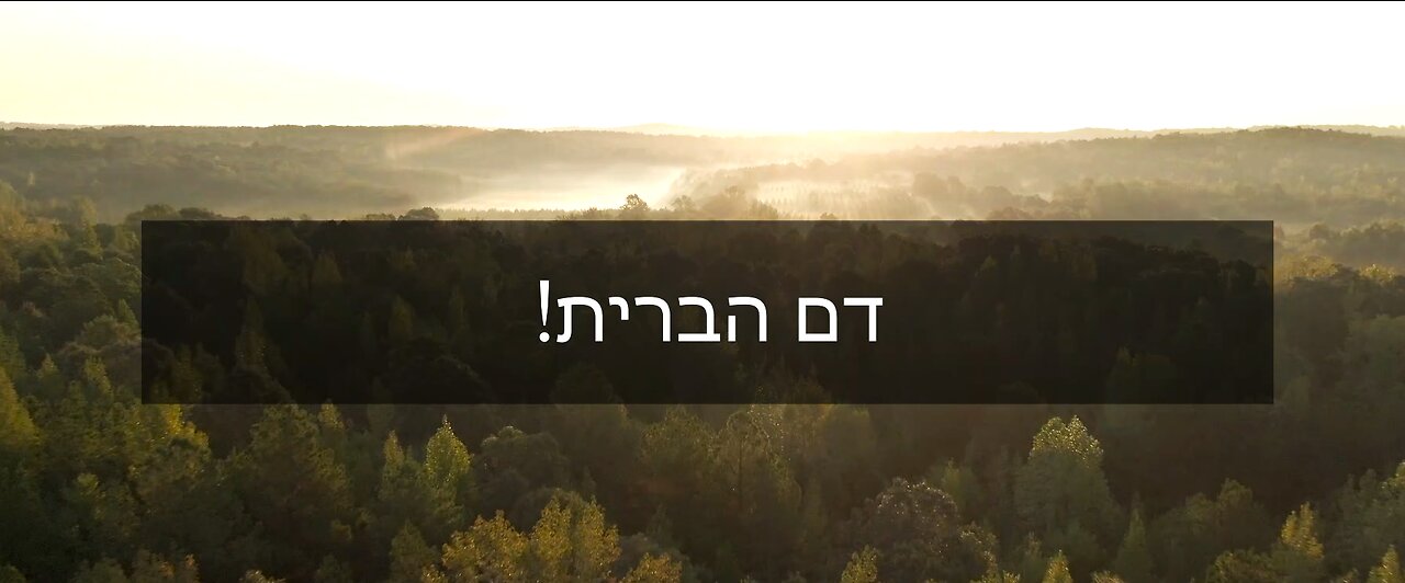 .דם הברית