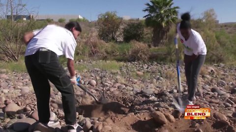 Foster A Better, Healthier Planet