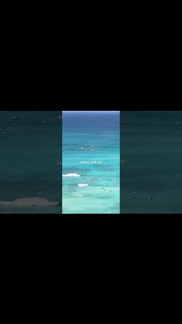 Waikīkī Wipe Out