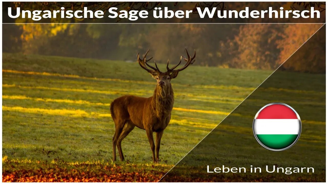 Die ungarische Sage mit dem Wunderhirsch - Leben in Ungarn