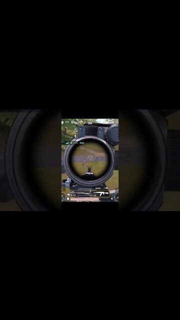 Obrigado por nós seguir! 🥰