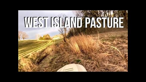 West Island Pasture ⬅️🏝