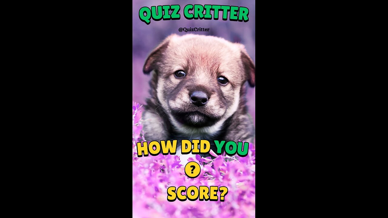 Quiz Critter 🐶 - Multiplying doubles #short #animal #quiz