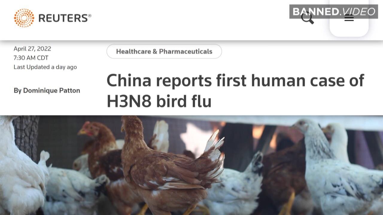 Is The New Bird Flu Plandemic #2