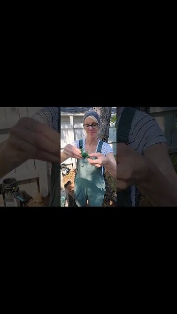 💯Made in the USA Products We Use In Our Garden! 😀👍🏼