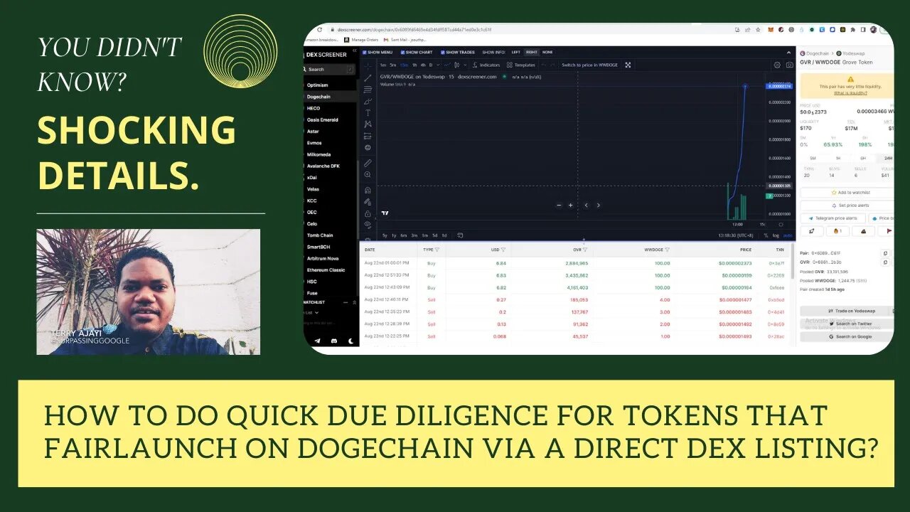 How To Do Quick Due Diligence For Tokens That Fairlaunch On Dogechain Via A Direct Dex Listing?