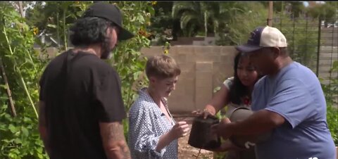Vegas Stronger Champion: East Las Vegas neighbor helps feed those in need