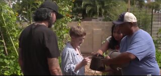 Vegas Stronger Champion: East Las Vegas neighbor helps feed those in need