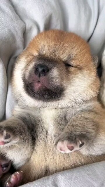 A good night's sleep