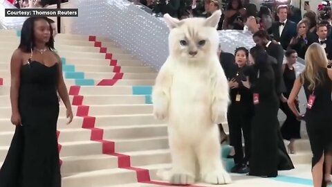 Choupette at #MetGala 2023