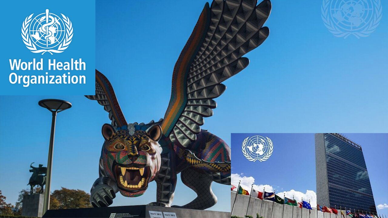 The Beast Identified | United Nations set up the image.