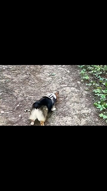 A Woman Rescues a... #RUMBLETAKEOVER #RUMBLE