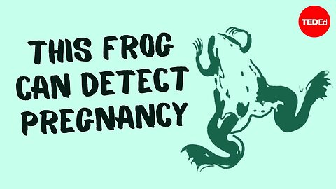 Want to know if you're pregnant? Use this frog