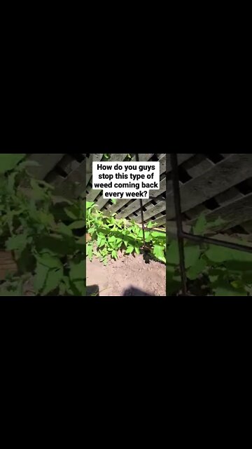 ATTENTION ALL GARDENERS