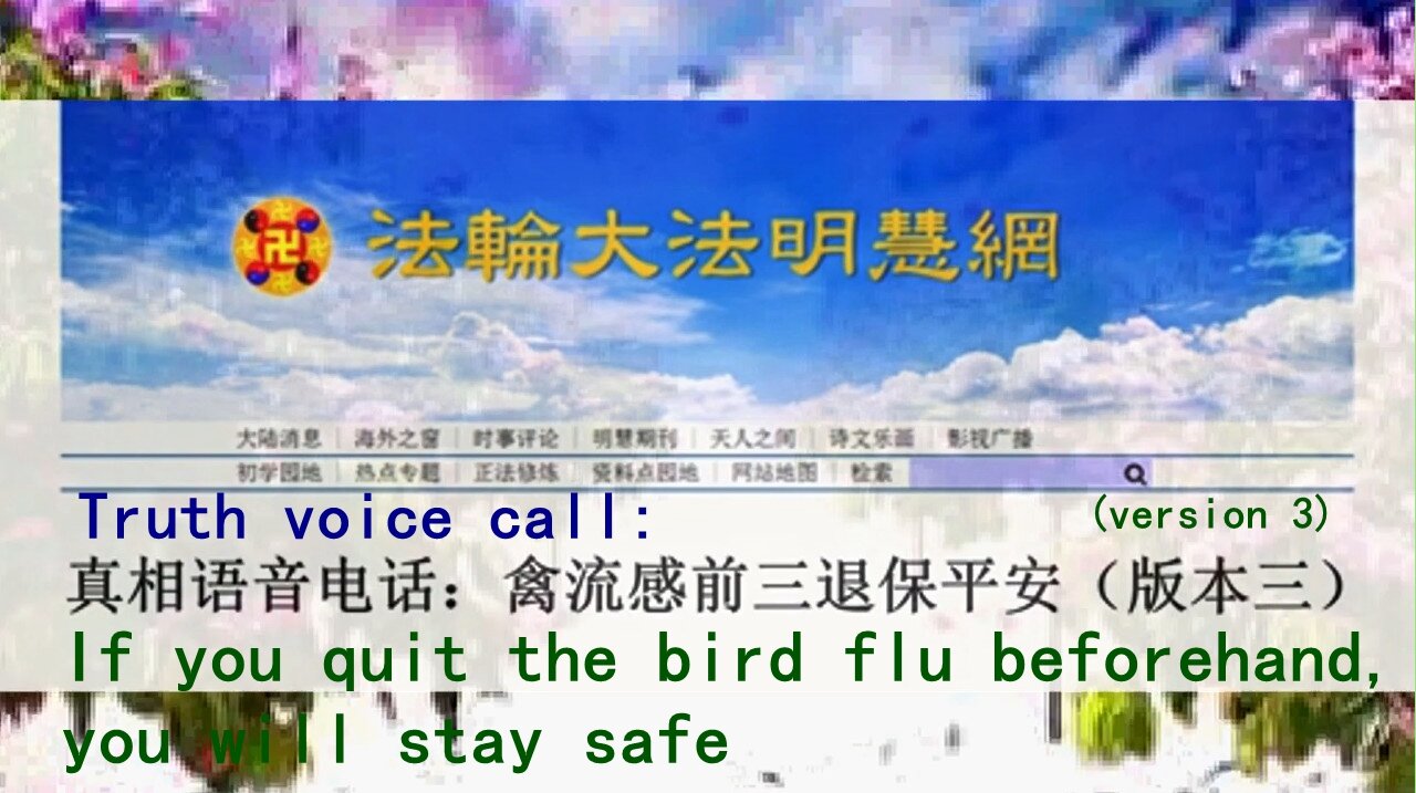 真相语音电话：禽流感前三退保平安（版本三） Truth voice call: If you quit the bird flu beforehand, you will stay safe (version 3)2013.05.02