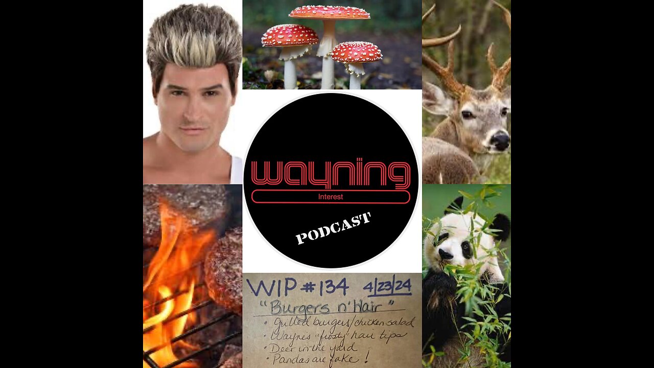 Wayning Interest Podcast #134 Burgers n' Hair