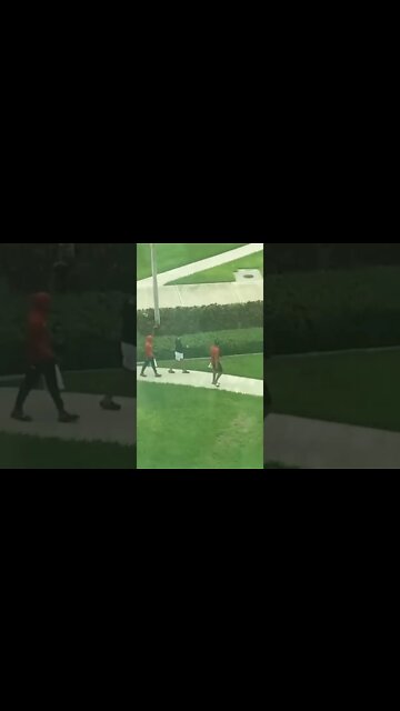 #trendingvideos #funnyvideos