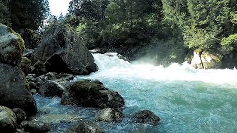 Soothing forest birds signing and water sounds. Ambience nature sounds with calming birdsong. Instantly fall asleep into deep sleep