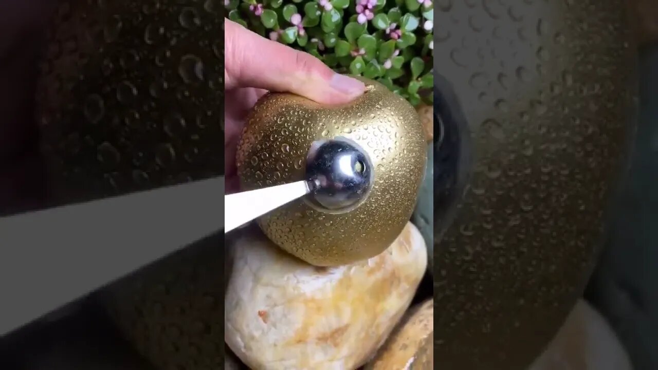 trending shorts 2022 #shorts #viral #trending #youtube #youtubeshorts