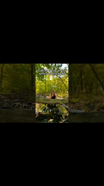 Egyptology granite cutting logic #Cutting #sawing #egyptology #egypt #granite