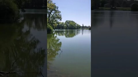 beautiful day at the park