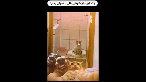 Eating cute animals