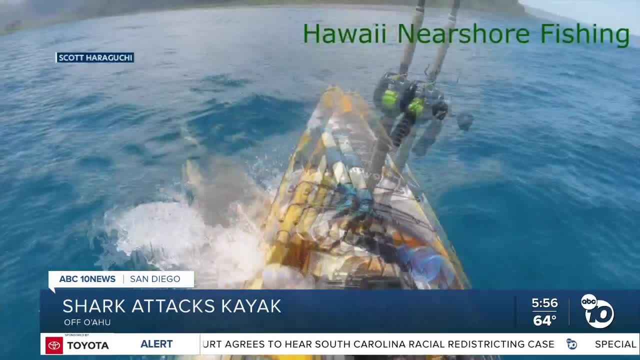 Shark attacks kayaker in Hawaii