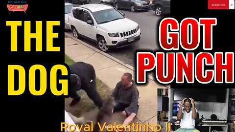 The Dog Got Punch, Oh WOW, where's PETA | Fight Videos (Ep 1)