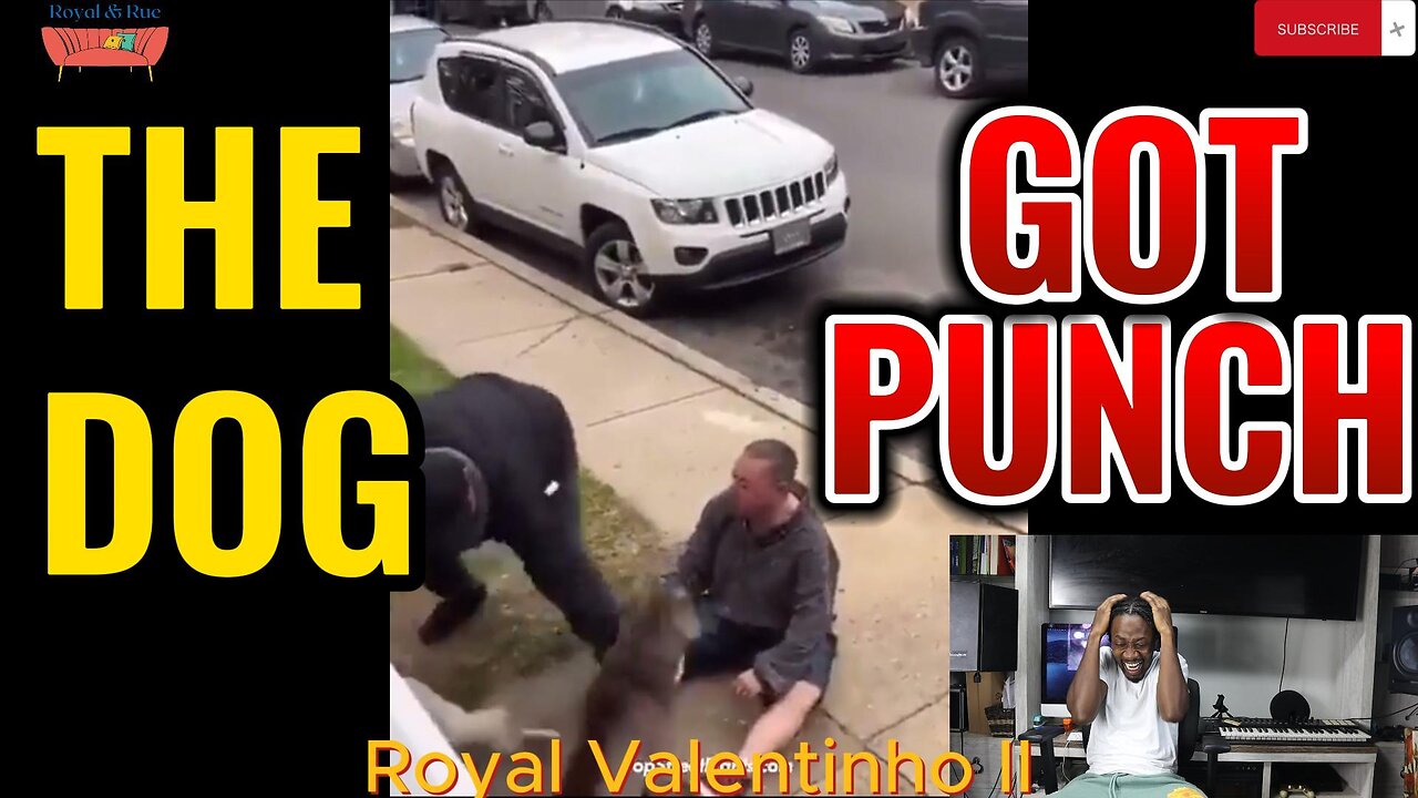 The Dog Got Punch, Oh WOW, where's PETA | Fight Videos (Ep 1)