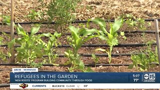 New Roots program helps refugees build community through food