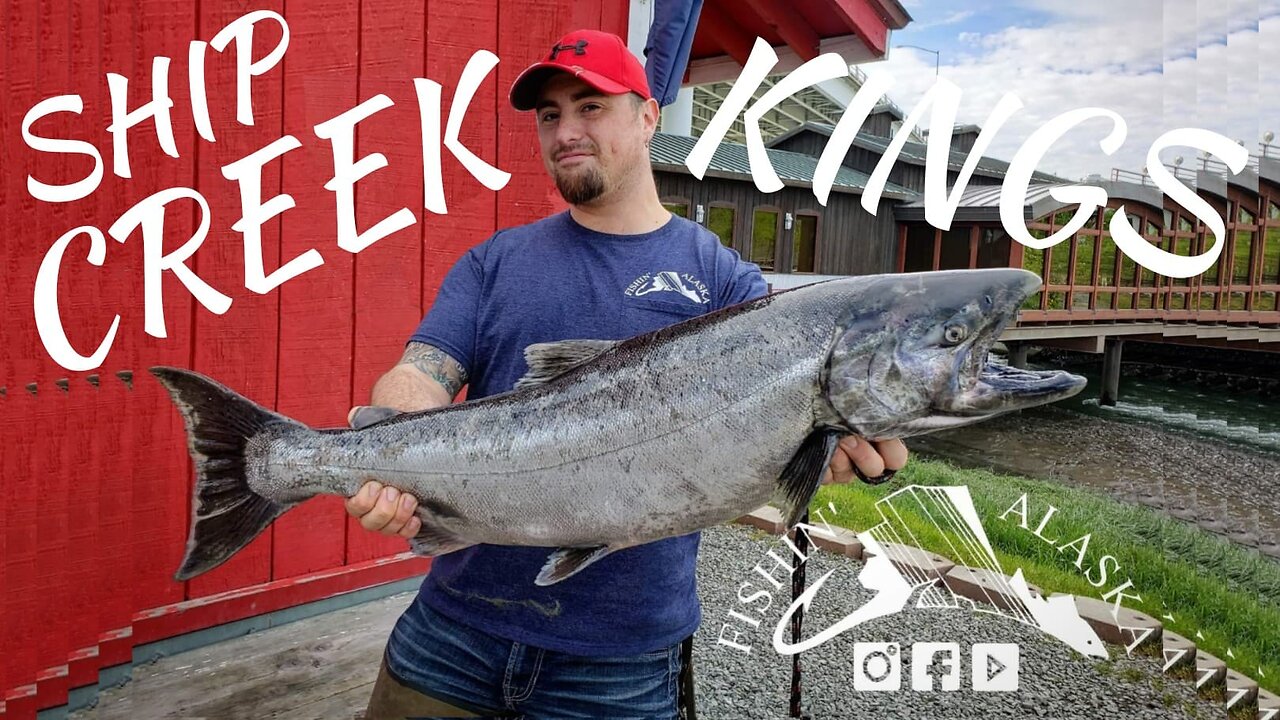 KING SALMON FISHING IN THE CITY! Ship Creek, Anchorage, Alaska #3