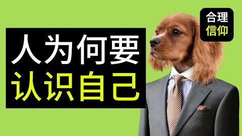 【大鸟合理的信仰 #8】 为什么人需要认识自己？ 我是谁？ 信仰问题Q&A