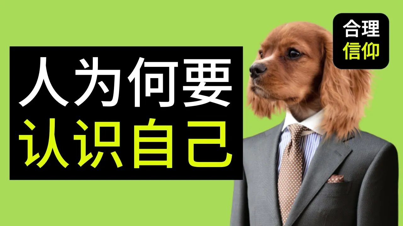 【大鸟合理的信仰 #8】 为什么人需要认识自己? 我是谁? 信仰问题Q&A