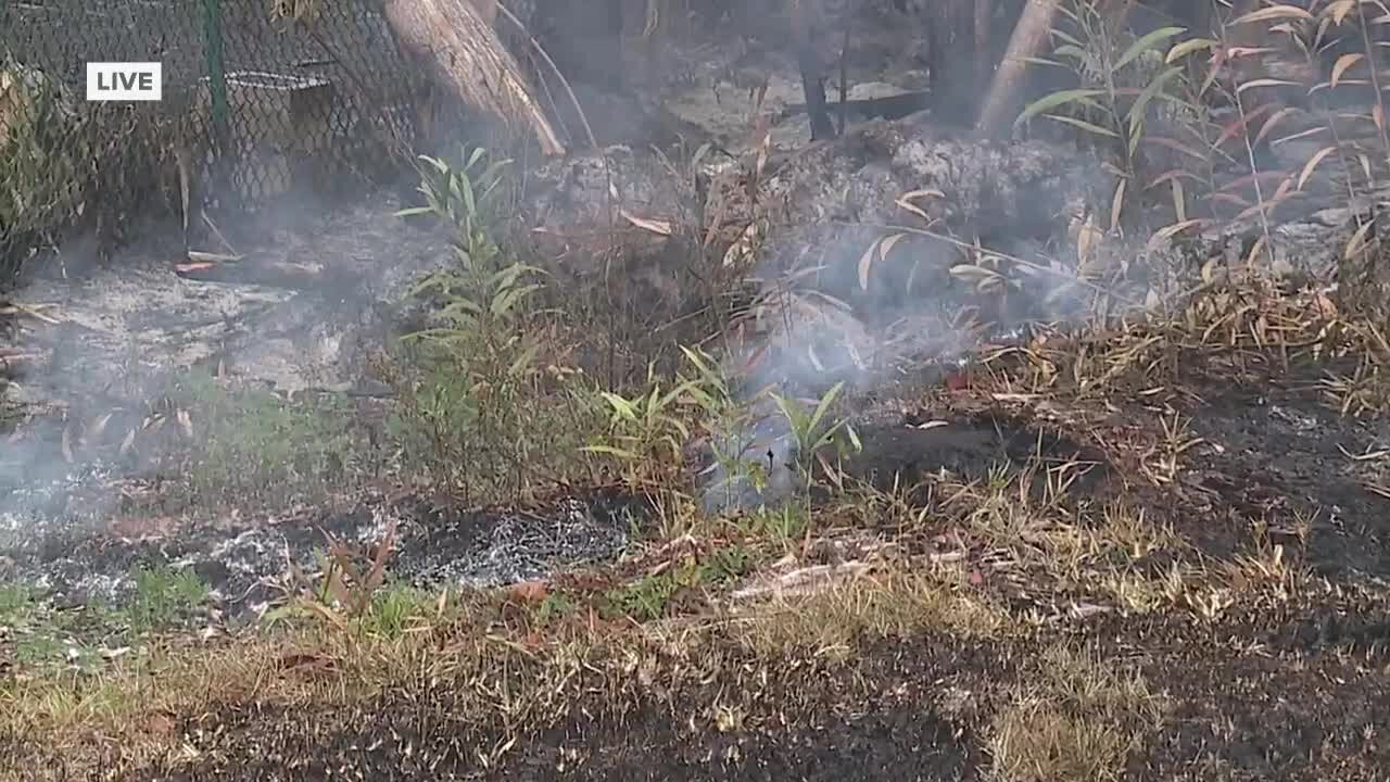 Collier County brush fire