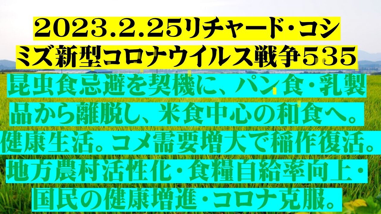 2023.02.25 リチャード・コシミズ新型コロナウイルス戦争５３５