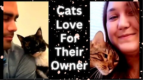 Cats love for their owner #cutecats