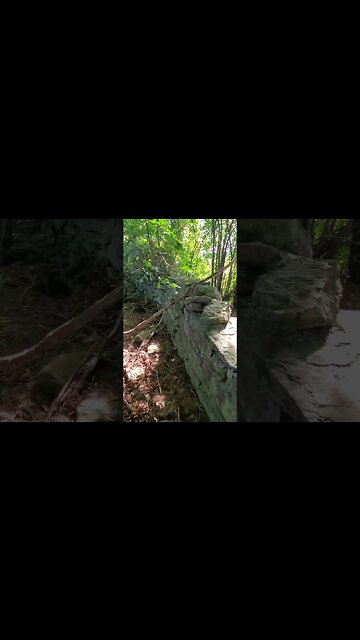 stone wall #metaldetecting #shorts