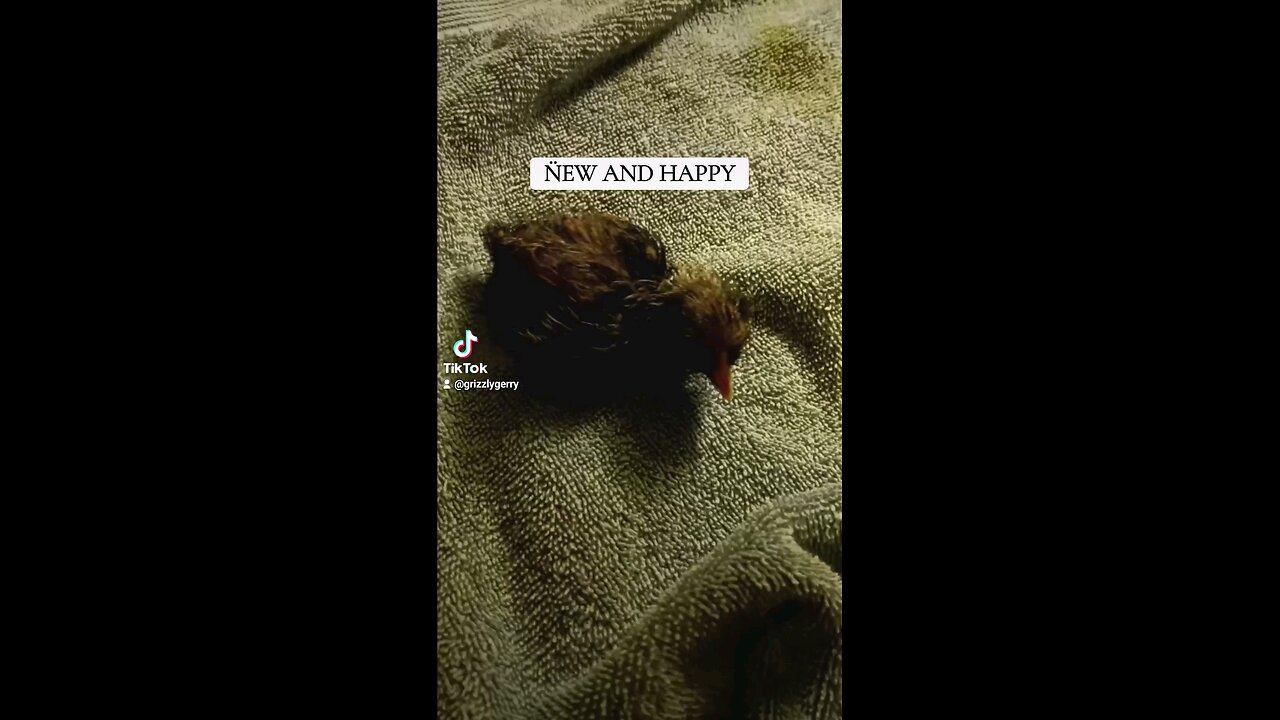 NUMBER 14 NEW AND HAPPY