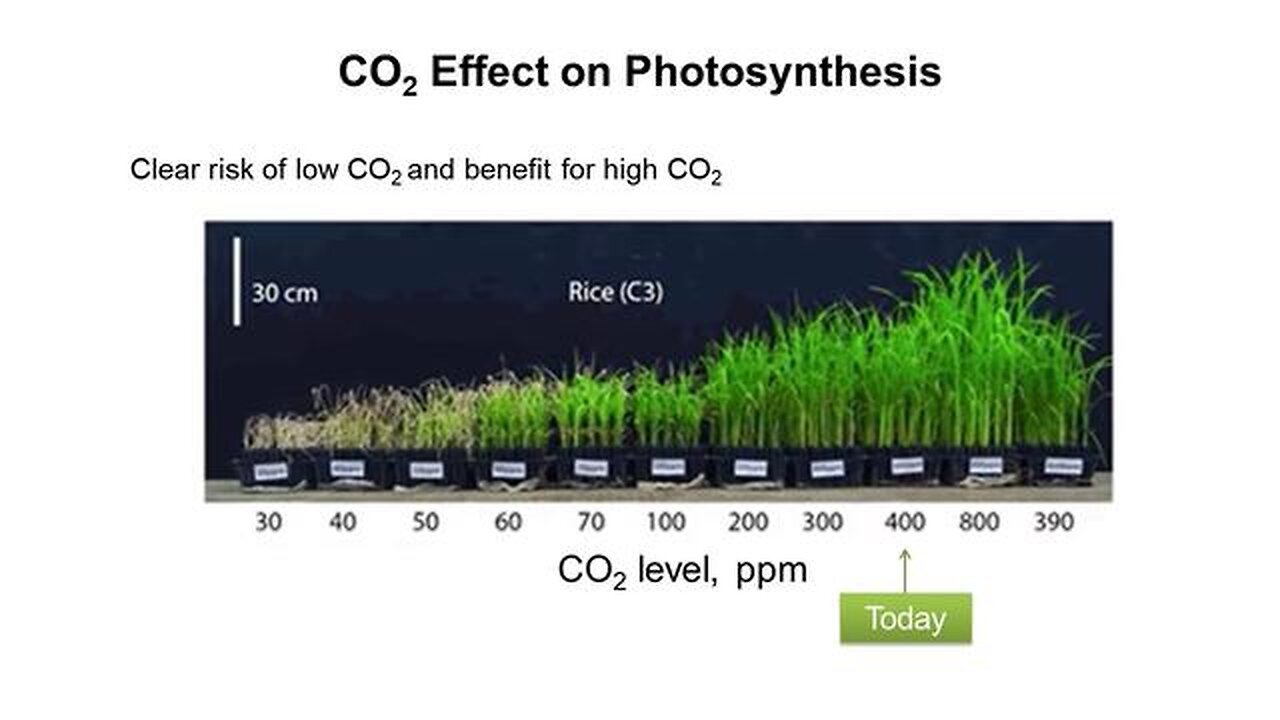 CO2 EFFECT ON PHOTOSYNTHESIS; REFUTING THE PROPAGANDA